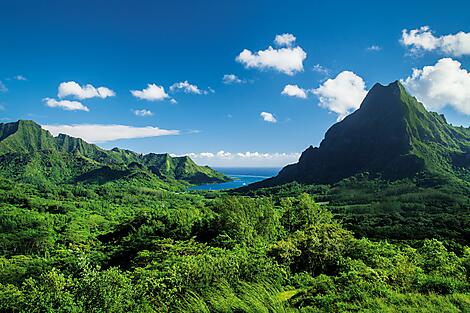 Perles des îles de la Société-CG.D_Moorea228(1).jpg