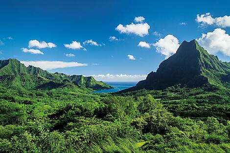 Tahiti & the Society Islands-CG.D_V_Moorea228.jpg