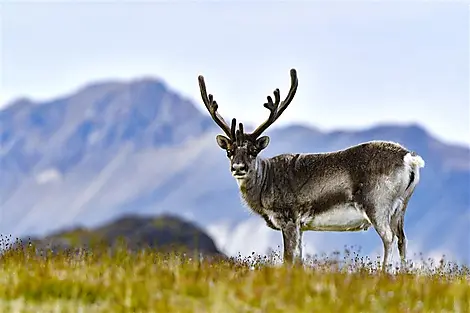 South-West Region of Spitsbergen