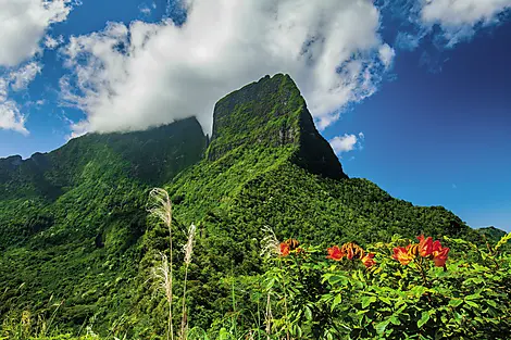 Îles Cook et Îles de la Société-CG.D_Moorea303.jpg