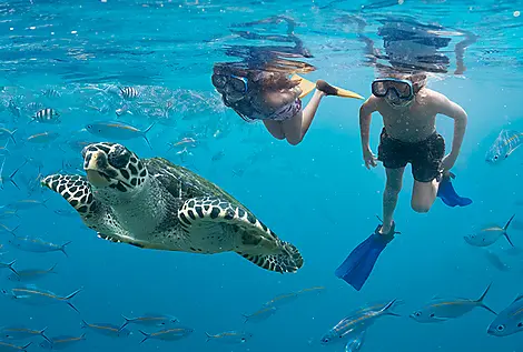 An escapade in the heart of Melanesia-turtle-snorkel_101196-56_TourismFiji.jpg