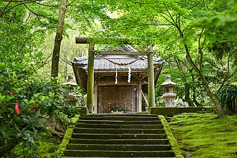 Odyssée au cœur des îles subtropicales du Japon-No-2415_SO070523_Maizuru_Osaka©StudioPONANT-Thibault Garnier.JPEG