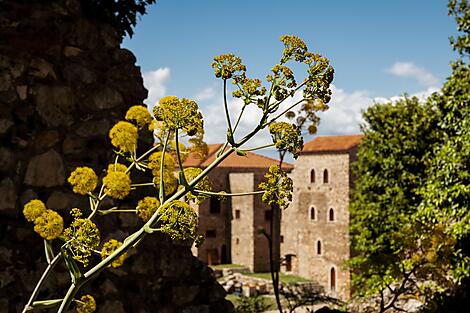 Landscapes and historic sites of the Peloponnese -No-2120_EG150424-GYTHION-MYSTRAS©StudioPONANT-Lucile HERVÉOU.jpg