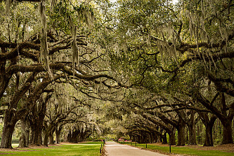 Celebrating American History & Culture Along the Atlantic Coast – with Smithsonian Journeys-AdobeStock_259733548_3008x2000.jpg