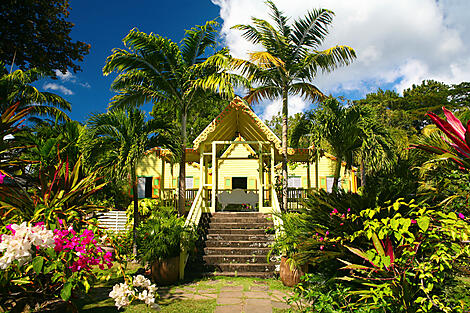 De la Martinique à la République dominicaine (option Golf)-iStock_000002844389Medium.jpg