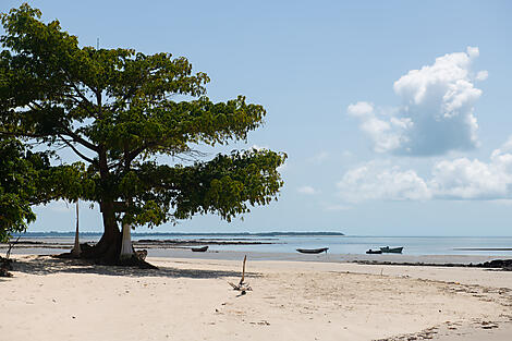 Joao Vieira Island, Bijagos