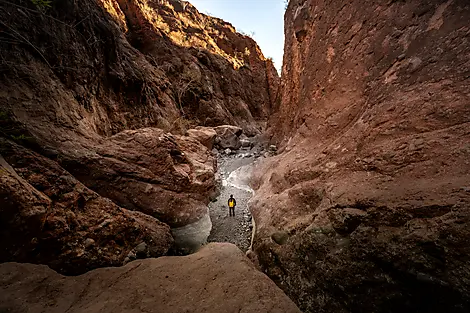 Exploration in the Heart of Baja California-IMGL8424-HDR_canyon_loreto_reperage__guide_jose_observation_baja_california_┬®ponant_julien_fabro.jpg