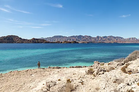 Exploration in the Heart of Baja California-0O5A9427_isla_de_carmen_plage_paradisiaque_turquoise_loreto_plage_baja_california_©PONANT-Julien Fabro.jpg