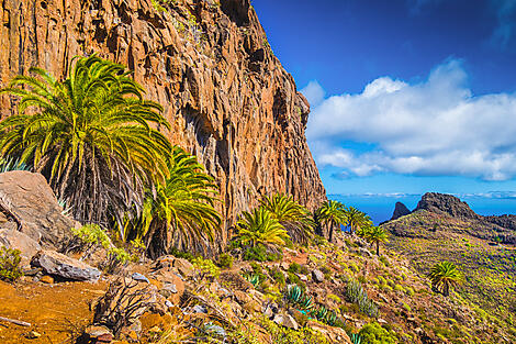 The Canaries, lands of contrast-iStock-683966212.jpg