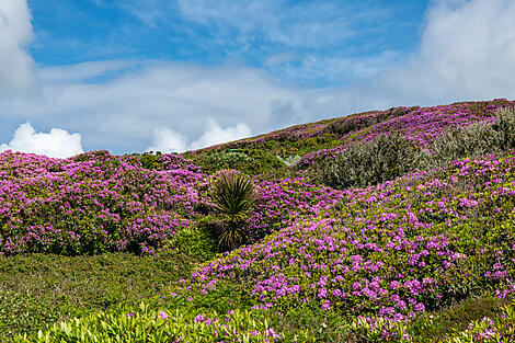 British archipelagos and Celtic shores-No-2649_EC110524_Scilly©StudioPONANT_ThibaultGarnier.jpg