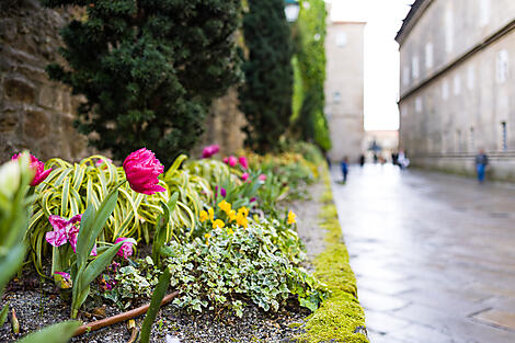 The Iberian Peninsula and Fortified cities of the Atlantic-No-2111_AU100423_Lisbonne-Bordeaux©StudioPONANT-JulietteLECLERCQ.jpg
