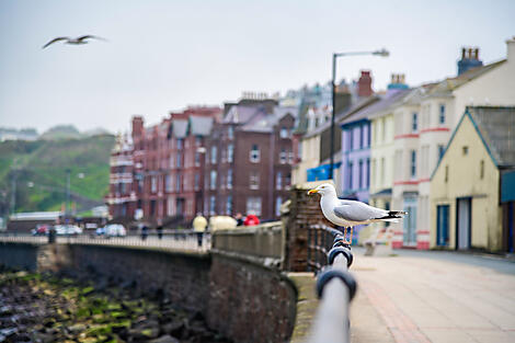 From Ireland to Scotland: A Journey through Celtic Lands-26__A290419_Dublin-Portsmouth©StudioPONANT-Noemie Watel.jpg