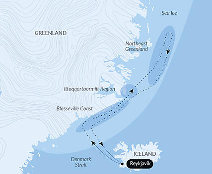 Northeast Greenland's unexplored sea ice
