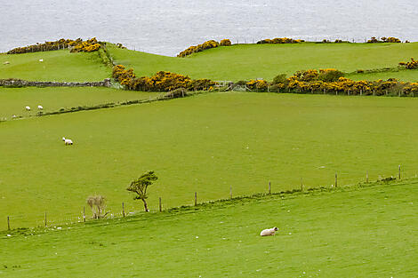 From Ireland to Scotland: A Journey through Celtic Lands-No-2210_AU270423_Dublin-Glasgow_Antrim Coast and Giant\'s Causeway©StudioPONANT-JulietteLECLERCQ.jpg