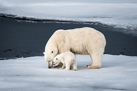 In the ice of the Arctic, from Greenland to Svalbard-N°0240_O150622_Longyearbyen-Longyearbyen©StudioPONANT_Morgane Monneret.jpg