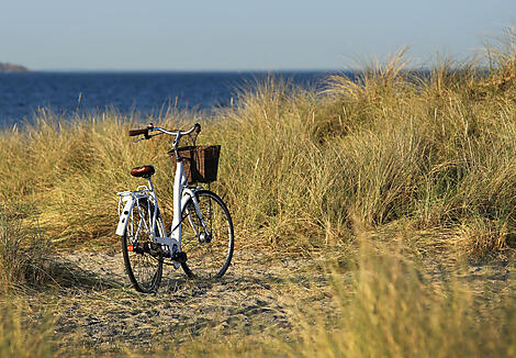Summer Escapes: From the North Sea to the Iberian Peninsula-AdobeStock_214575000.jpeg