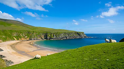 Celtic panoramas
