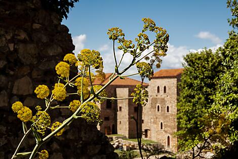 Landscapes and historic sites of the Peloponnese -No-2120_EG150424-GYTHION-MYSTRAS©StudioPONANT-Lucile HERVÉOU.jpg