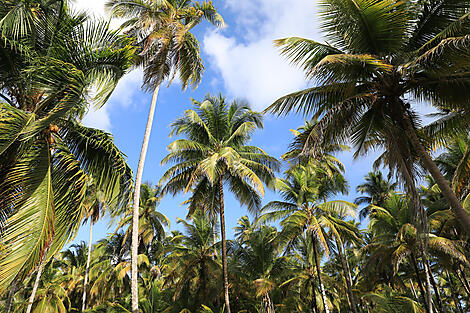 Von der wilden Schönheit Panamas zu den faszinierenden Ufern Perus-N°2057-M040122_Colon-Puntarenas©StudioPONANT-Margot Sib.JPEG