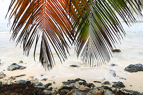 Von der wilden Schönheit Panamas zu den faszinierenden Ufern Perus-N-2409_C200119_Puerto-Caldera_Colon©StudioPONANT-Margot Sib.jpg