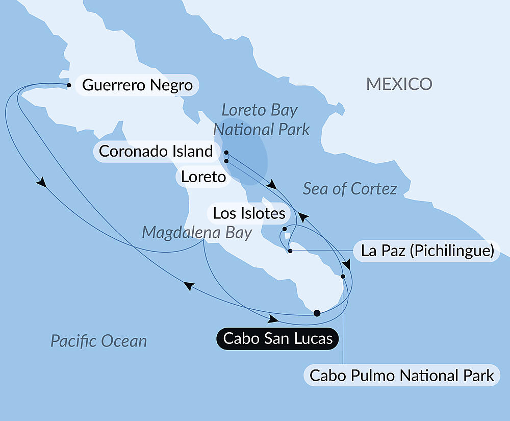 Baja and the Sea of Cortez: In Search of the Great Whales – with Smithsonian Journeys — image 3