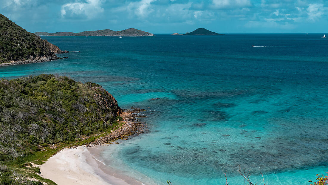 Caribbean Flavours