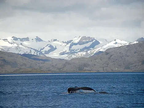 Sailing in the Strait of Magellan